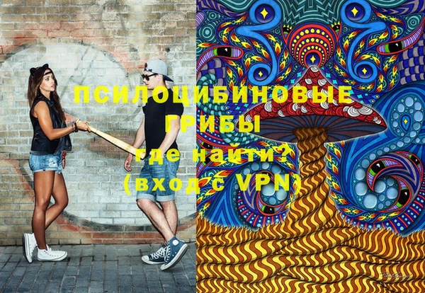 тгк Белокуриха