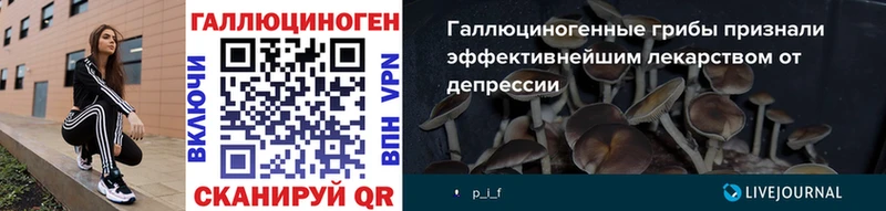 Псилоцибиновые грибы мицелий  Светогорск 